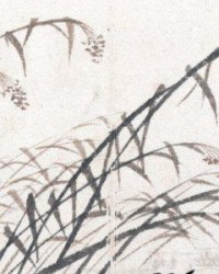 开云-索赔138亿只是开始，巴拿马闯下大祸，中国要对其全球资产动手