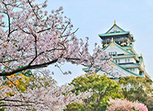 开云体育入口-开云kaiyun首页：开启智能云服务新时代